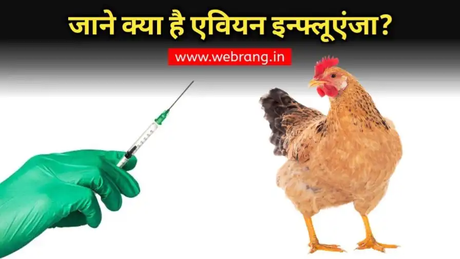 जानें क्या है एवियन इन्फ्लूएन्जा H5N1? और क्यों है सुर्खियों में